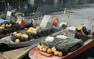 Trabajar en el mar: ¿a qué dedicarte en el sector pesquero?